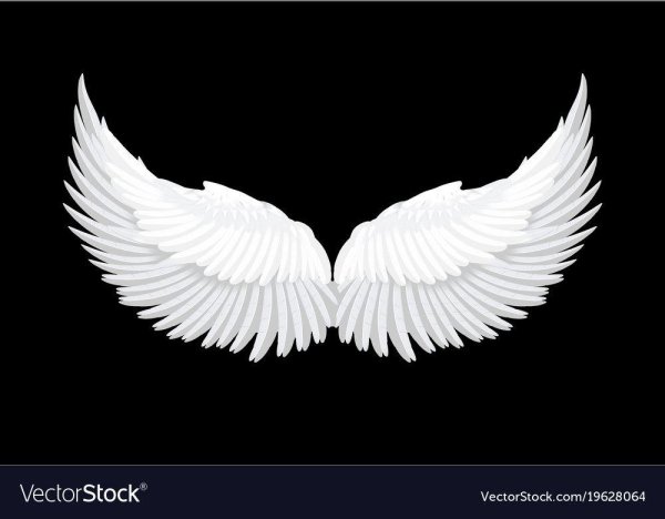 крыло ангела