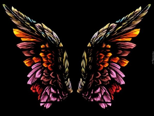 крыло ангела