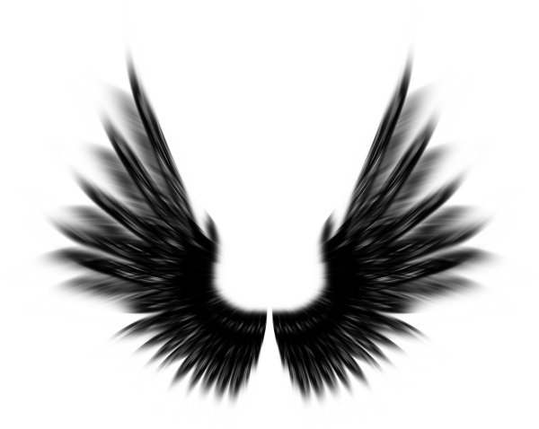 крылья без фона