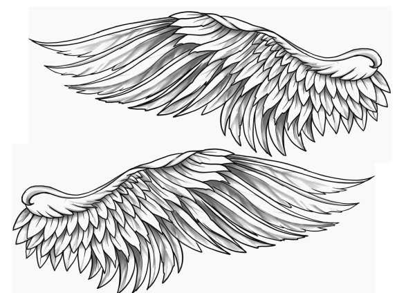 эскиз крыло