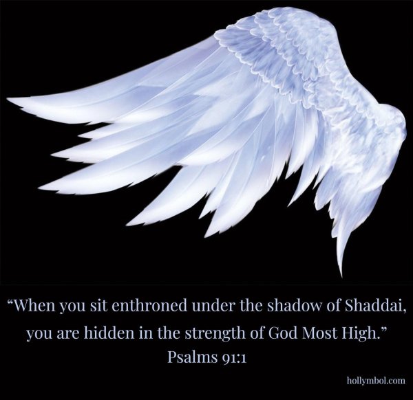 красивые крылья