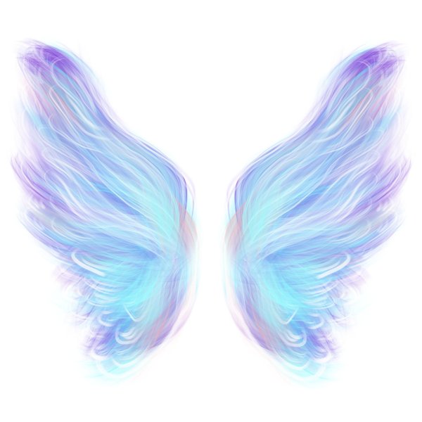 крыло ангела