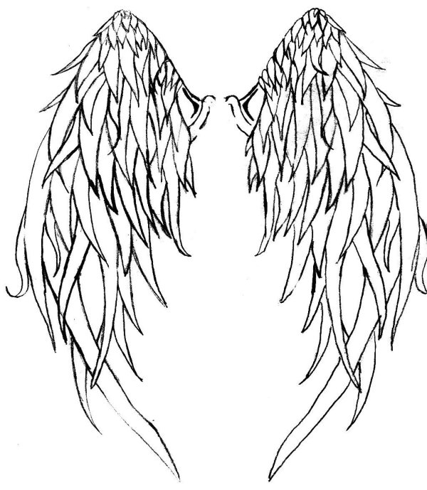 эскиз тату крыло