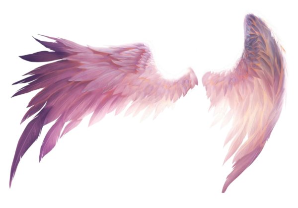 крыло ангела