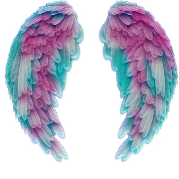 крыло ангела