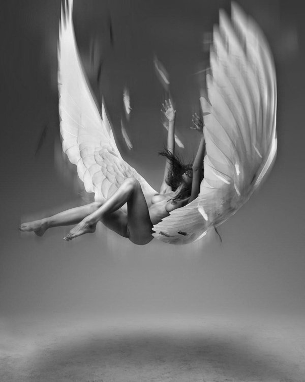 фотосессия с крыльями