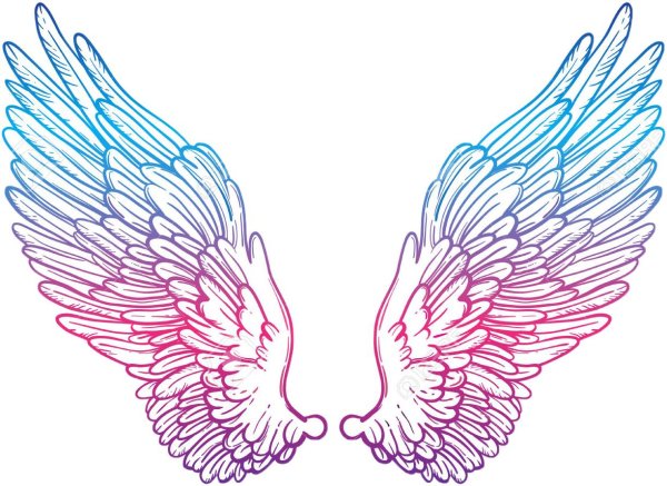 крылья без фона