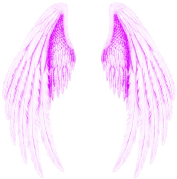 крыло ангела