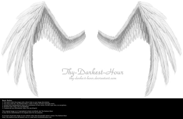 крылья на белом фоне