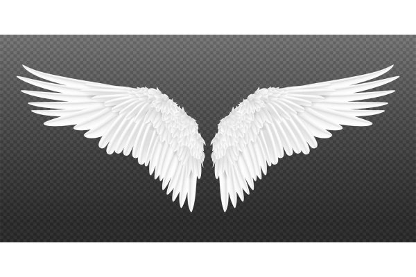 крылья на прозрачном фоне