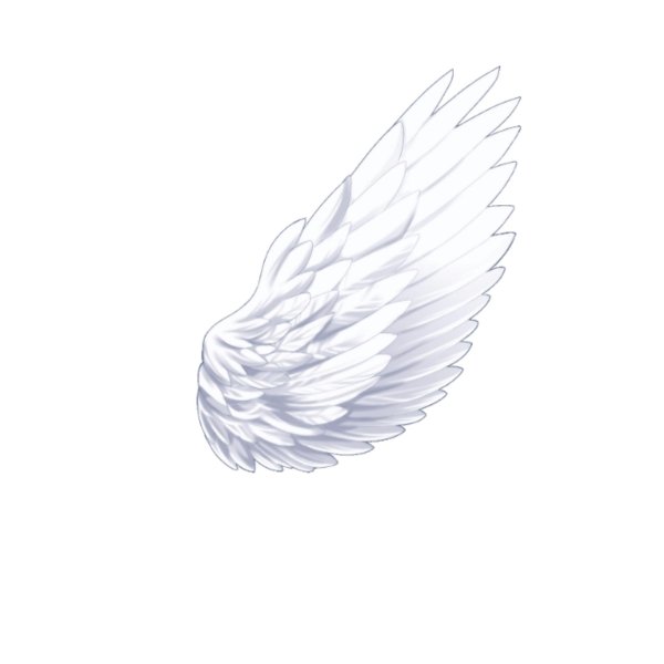 крыло ангела