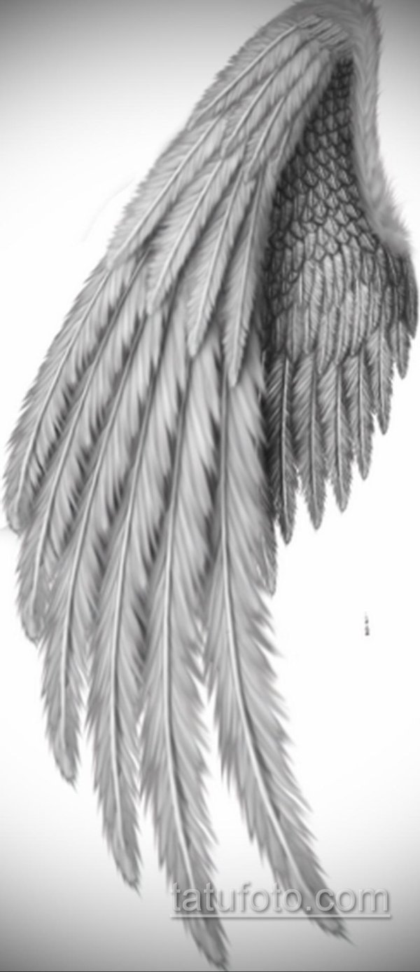 крыло ангела