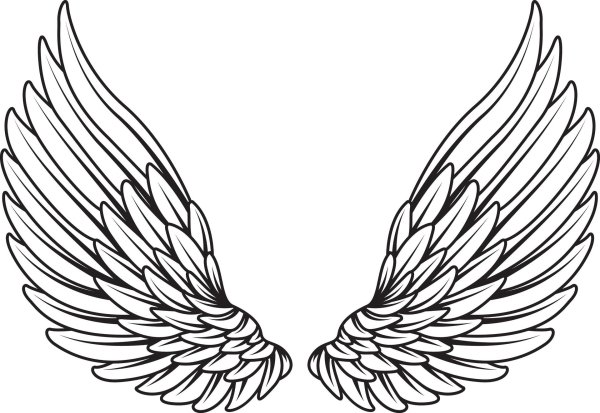 эскиз тату крыло