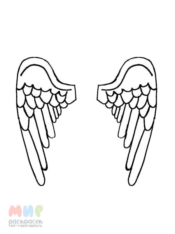крылья раскраска