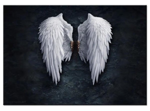 крыло ангела