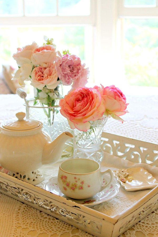 утренняя красавица