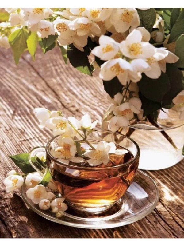 жасминовый чай