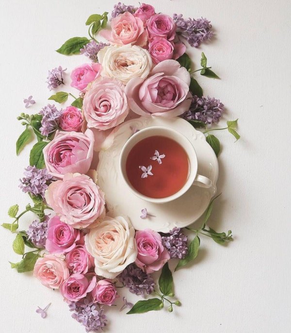 добрым людям доброе утро стильные открытки