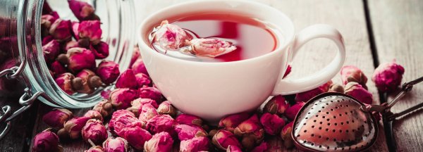 шиповник чай