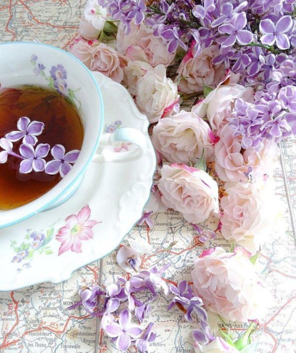 доброе утро сирень