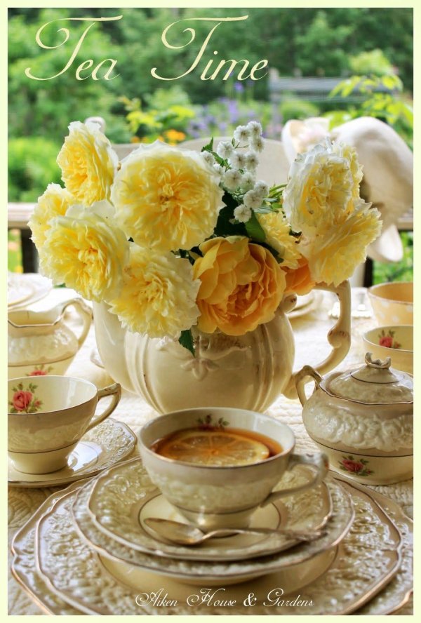 айкен хаус чаепитие