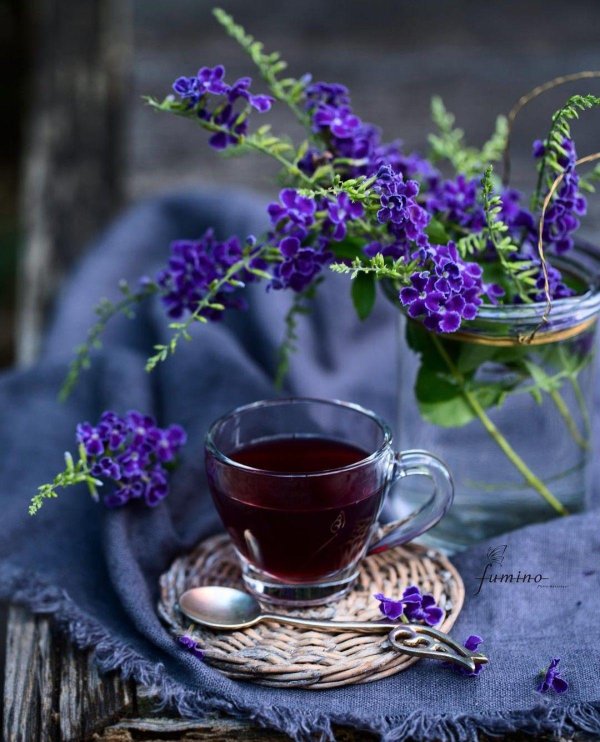 лавандовое утро