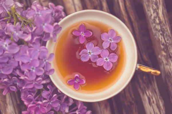 красивые цветы в чашке