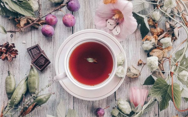 кружка чая эстетика