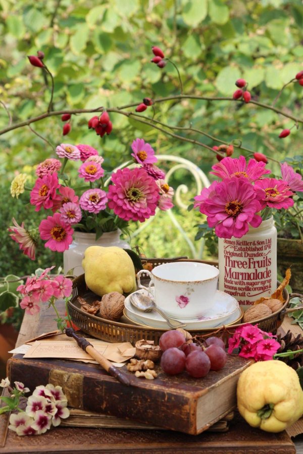 чаепитие на природе