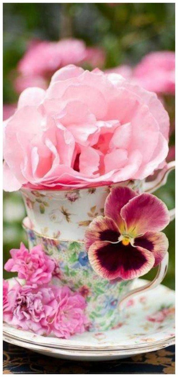 утренние цветы