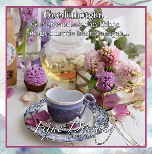 доброе утро прованс