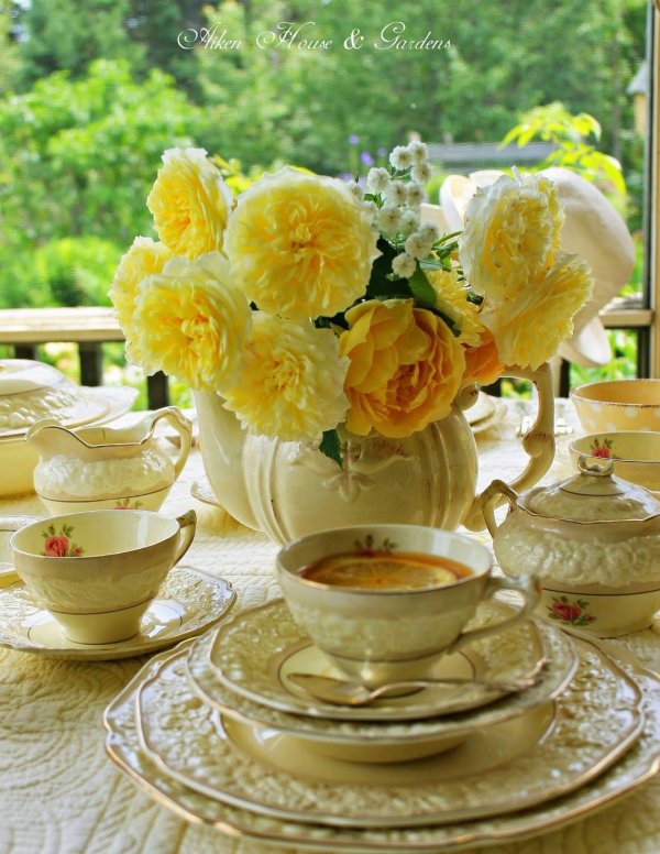 айкен хаус чаепитие