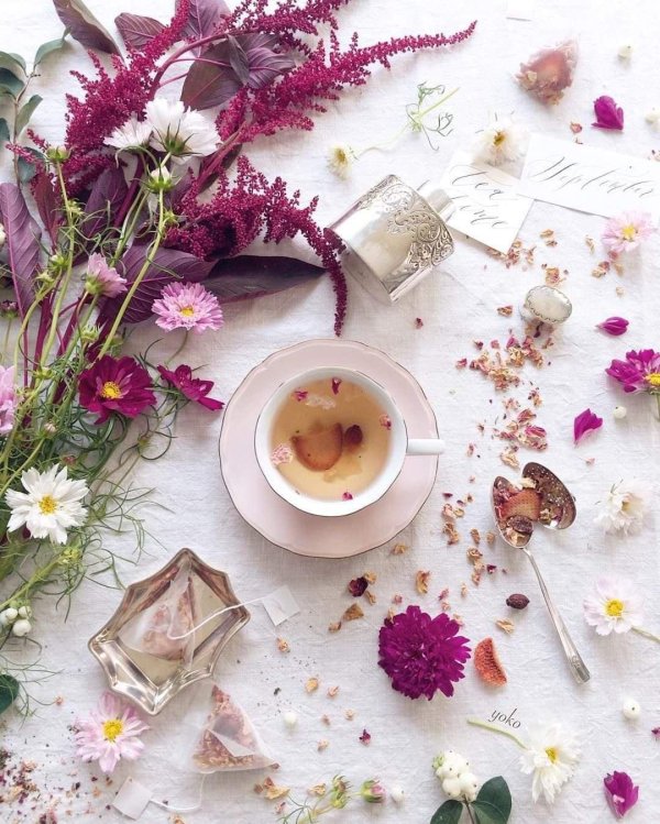 цветы утренние