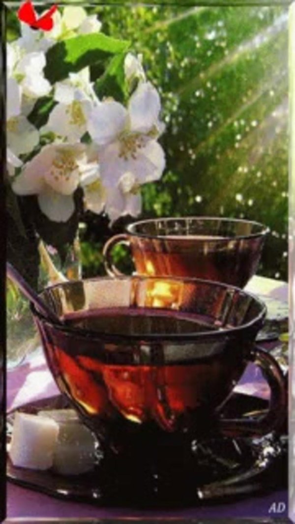 добрый весенний вечер за чашкой чая