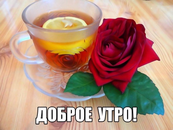 чай розочка