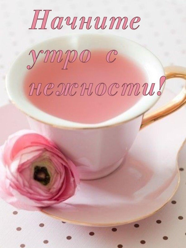 нежного утра