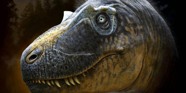 daspletosaurus horneri