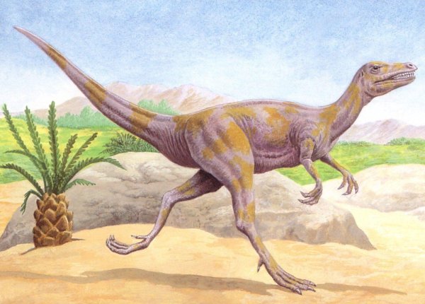 абриктозавр abrictosaurus