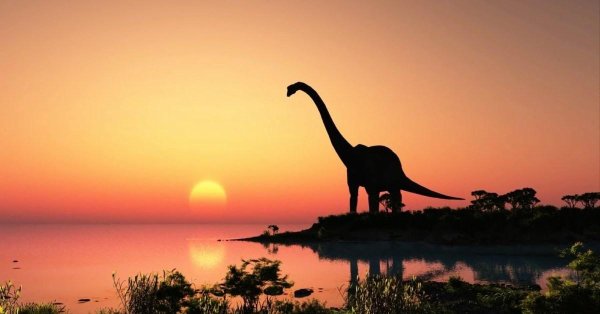 динозавр брахиозавр