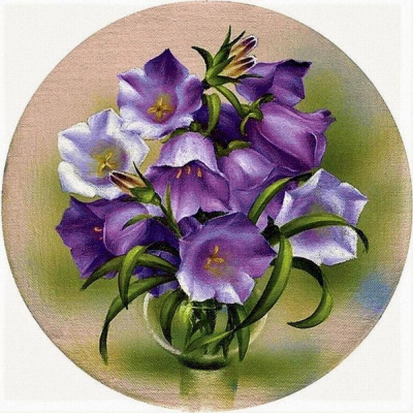 риолис колокольчики 1557