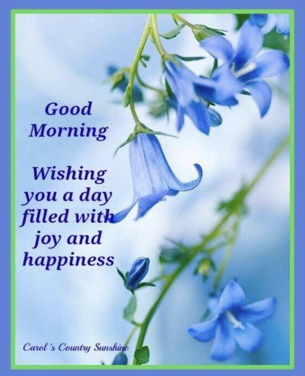 good morning wish