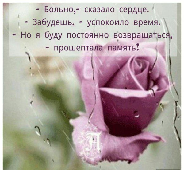 больно сказало сердце