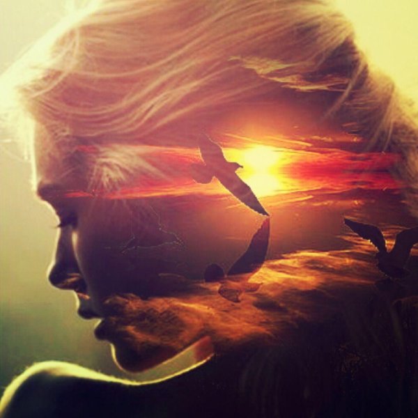 полет птицы