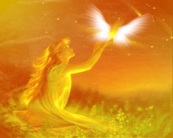 волшебство любви