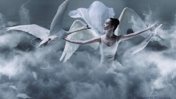 летающие ангелы