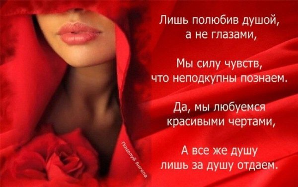 лишь полюбив душой