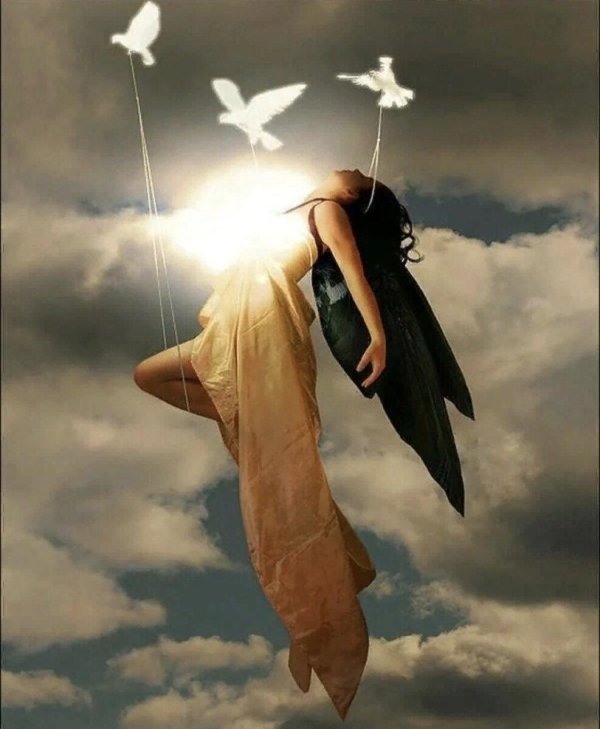 летающие ангелы