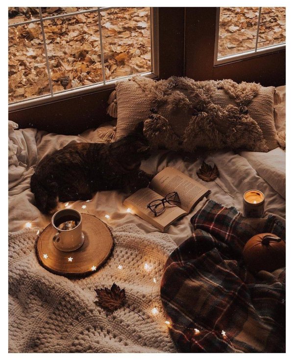 вечера уютного