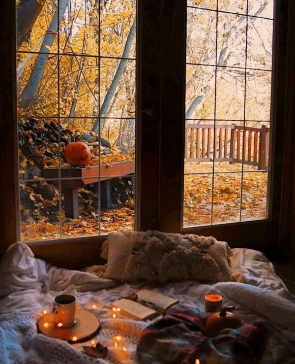 уютный вид из окна