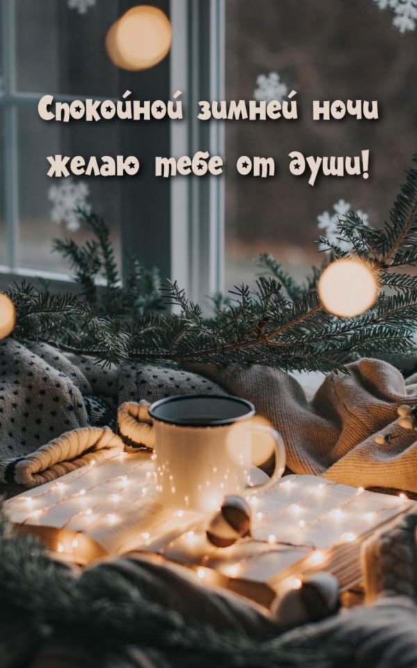спокойной зимней ночи